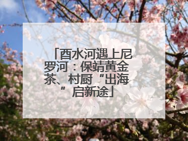 酉水河遇上尼罗河：保靖黄金茶、村厨“出海”启新途