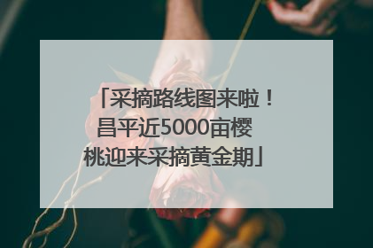 采摘路线图来啦！昌平近5000亩樱桃迎来采摘黄金期