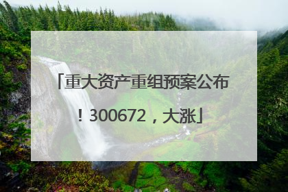 重大资产重组预案公布！300672，大涨