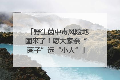 野生菌中毒风险地图来了！愿大家亲“菌子”远“小人”