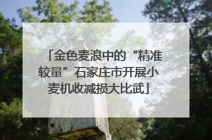 金色麦浪中的“精准较量”石家庄市开展小麦机收减损大比武