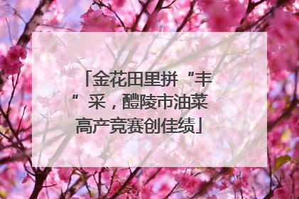 金花田里拼“丰”采，醴陵市油菜高产竞赛创佳绩