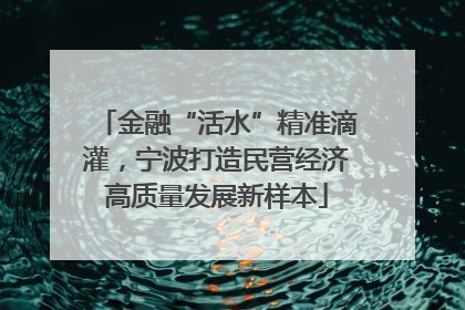 金融“活水”精准滴灌，宁波打造民营经济高质量发展新样本