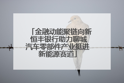 金融动能聚链向新 恒丰银行助力聊城汽车零部件产业挺进新能源赛道