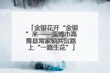 金银花开“金银”来——淄博市高青县常家镇共富路上“一路生花”