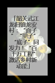 韶关武江龙归镇龙安村：“面子”“里子”“底子”同发力！“百千万工程”激活乡村新动能
