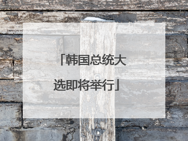 韩国总统大选即将举行
