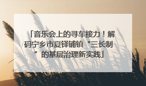 音乐会上的寻车接力！解码宁乡市夏铎铺镇“三长制”的基层治理新实践