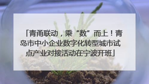 青甬联动，乘“数”而上！青岛市中小企业数字化转型城市试点产业对接活动在宁波开班