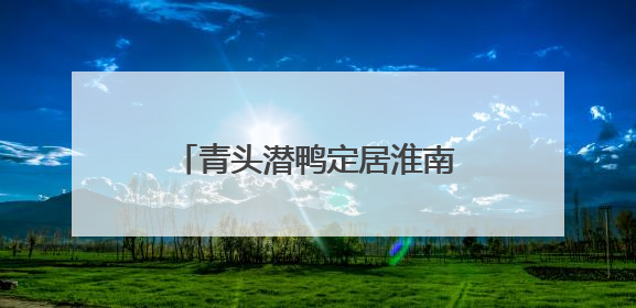 青头潜鸭定居淮南焦岗湖 最多一次发现104只，属国家一级保护野生动物