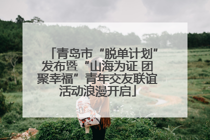 青岛市“脱单计划”发布暨“山海为证 团聚幸福”青年交友联谊活动浪漫开启