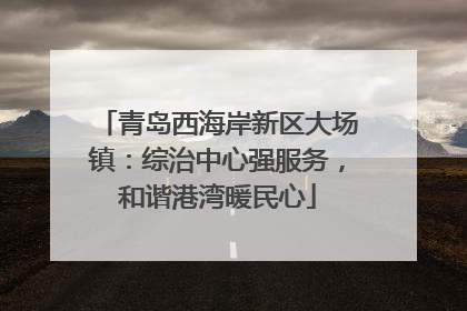青岛西海岸新区大场镇：综治中心强服务，和谐港湾暖民心