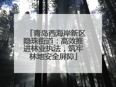 青岛西海岸新区隐珠街道：高效推进林业执法，筑牢林地安全屏障