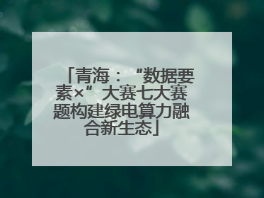 青海：“数据要素×”大赛七大赛题构建绿电算力融合新生态