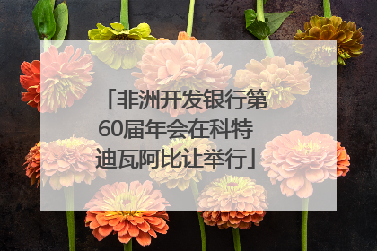 非洲开发银行第60届年会在科特迪瓦阿比让举行