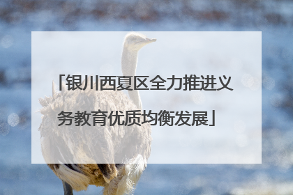 银川西夏区全力推进义务教育优质均衡发展