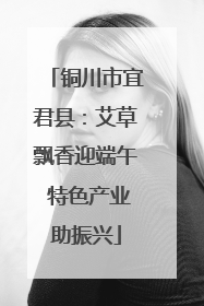 铜川市宜君县：艾草飘香迎端午 特色产业助振兴