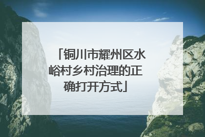 铜川市耀州区水峪村乡村治理的正确打开方式