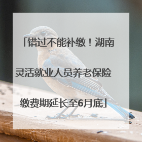 错过不能补缴！湖南灵活就业人员养老保险缴费期延长至6月底
