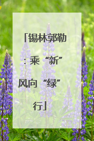 锡林郭勒：乘“新”风向“绿”行