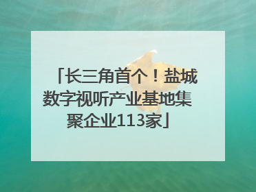 长三角首个！盐城数字视听产业基地集聚企业113家