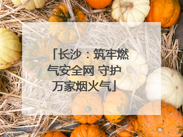 长沙：筑牢燃气安全网 守护万家烟火气