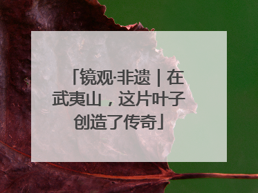 镜观·非遗｜在武夷山，这片叶子创造了传奇