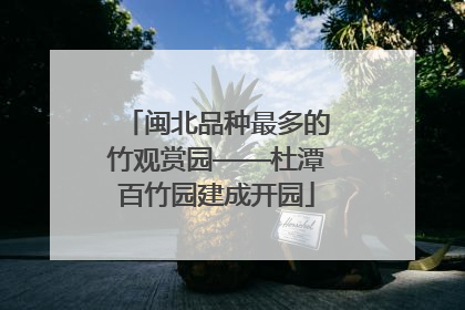 闽北品种最多的竹观赏园——杜潭百竹园建成开园