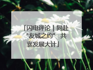 闪电评论｜同赴“友城之约” 共襄发展大计