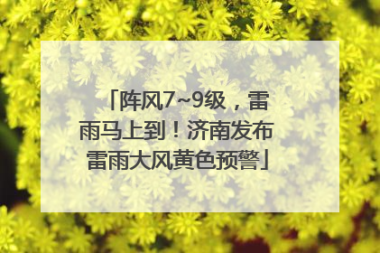阵风7~9级，雷雨马上到！济南发布雷雨大风黄色预警