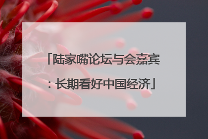 陆家嘴论坛与会嘉宾：长期看好中国经济