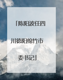陈阳波任四川德阳绵竹市委书记