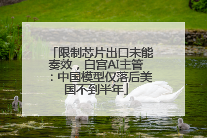 限制芯片出口未能奏效，白宫AI主管：中国模型仅落后美国不到半年