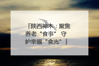陕西神木：聚焦养老“食事” 守护幸福“食光”