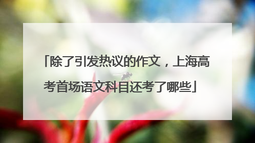 除了引发热议的作文，上海高考首场语文科目还考了哪些