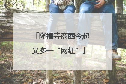 隆福寺商圈今起又多一“网红”