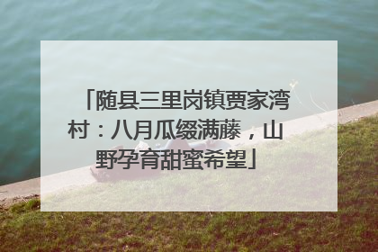 随县三里岗镇贾家湾村：八月瓜缀满藤，山野孕育甜蜜希望