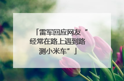 雷军回应网友“经常在路上遇到路测小米车”