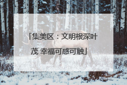 集美区：文明根深叶茂 幸福可感可触