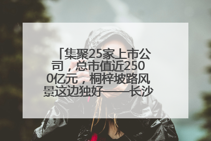 集聚25家上市公司，总市值近2500亿元，桐梓坡路风景这边独好——长沙有条“上市路”