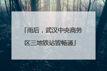 雨后，武汉中央商务区三地铁站皆畅通