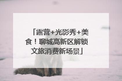 露营+光影秀+美食！聊城高新区解锁文旅消费新场景