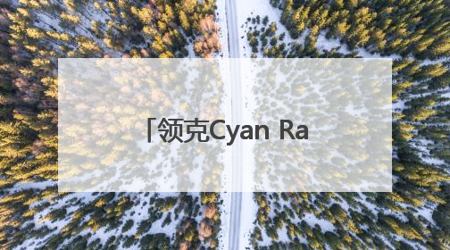 领克Cyan Racing车队再获佳绩 TCR世巡赛西班牙站包揽六座奖杯