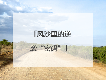 风沙里的逆袭“密码”
