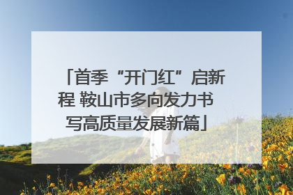 首季“开门红”启新程 鞍山市多向发力书写高质量发展新篇