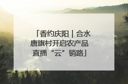 香约庆阳｜合水唐旗村开启农产品直播“云”销路