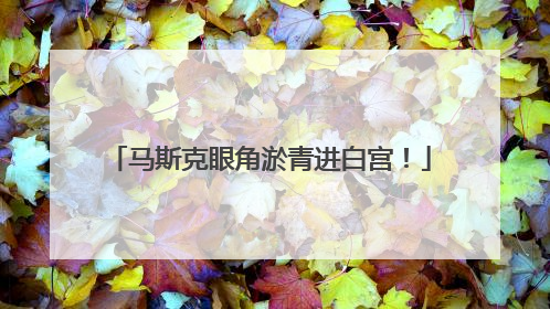 马斯克眼角淤青进白宫！
