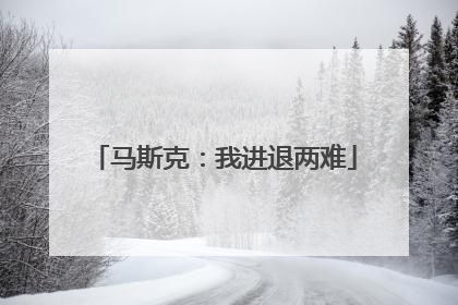 马斯克：我进退两难