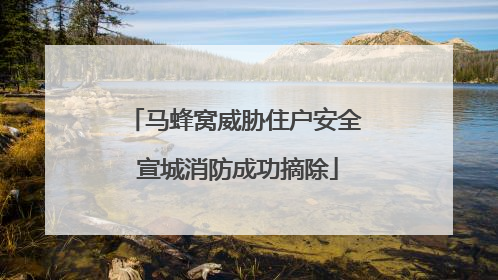 马蜂窝威胁住户安全 宣城消防成功摘除