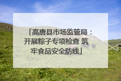 高唐县市场监管局：开展粽子专项检查 筑牢食品安全防线